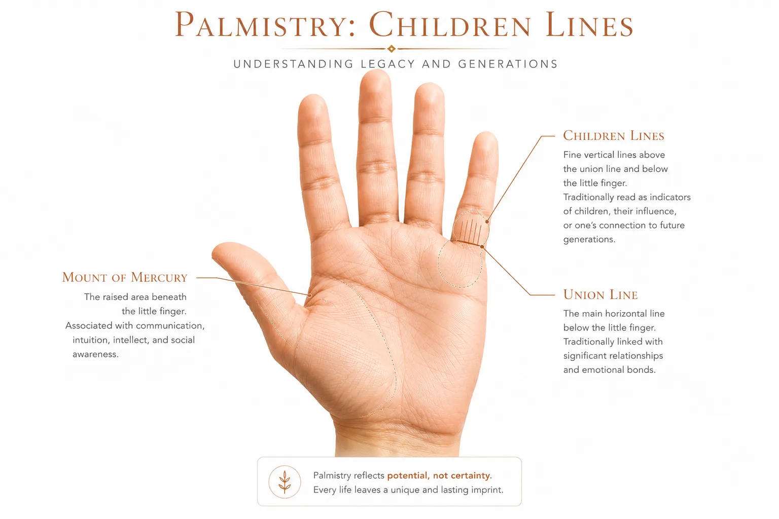 Annotated palm diagram showing children lines position