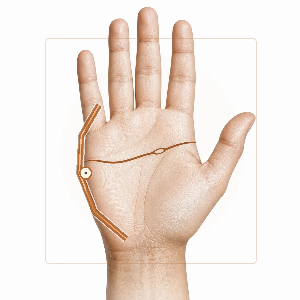 Palm diagram with life line and health line highlighted