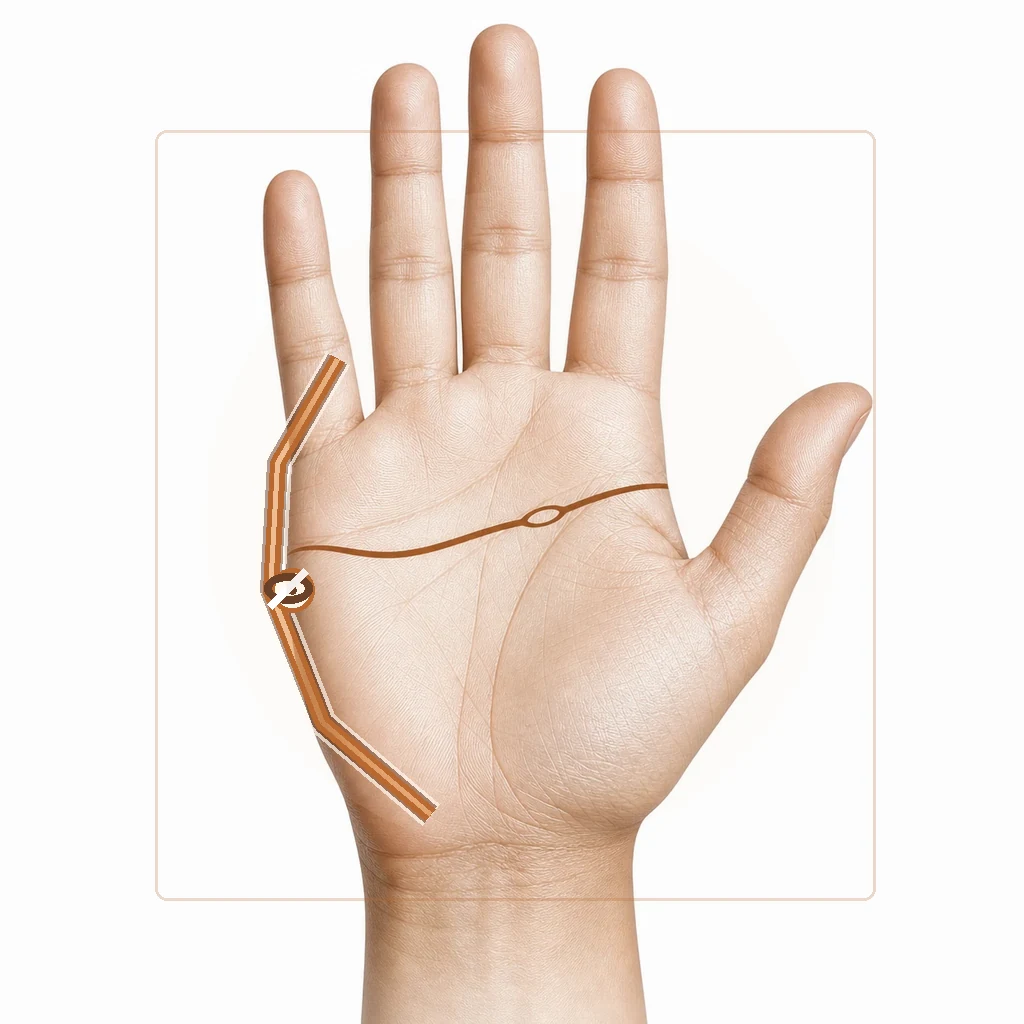 Palm diagram showing the health line and its traditional associations