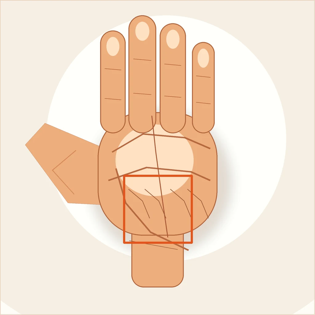 Comparison illustration of earth and air hand types