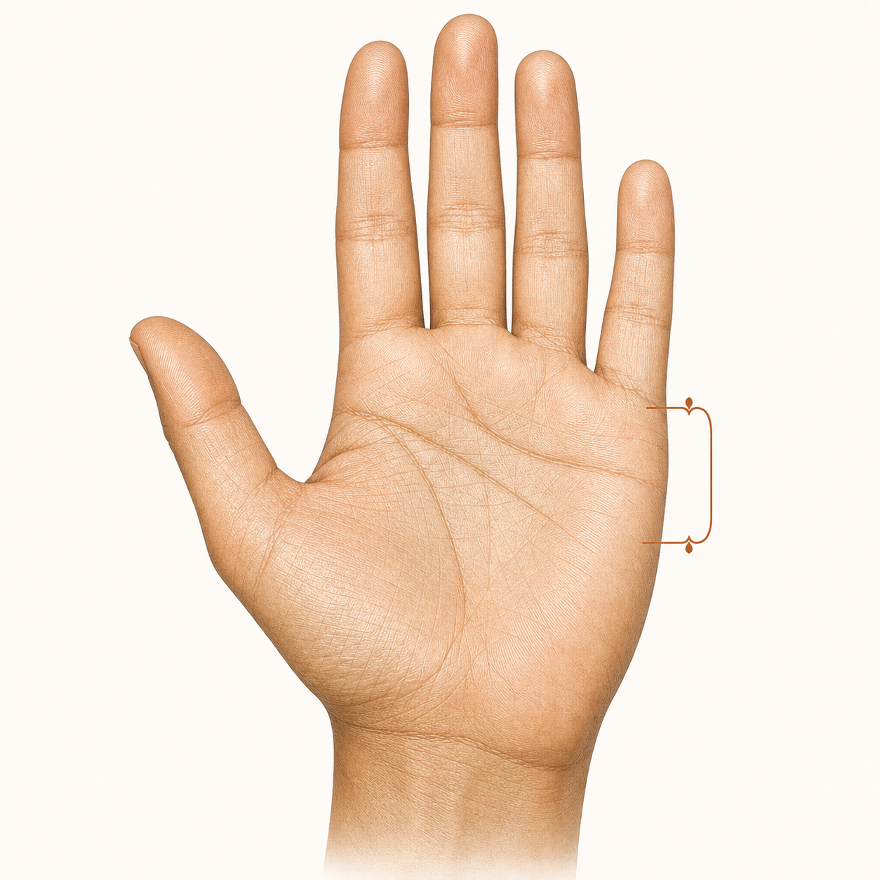 Open palm showing the area below the little finger with no visible marriage line