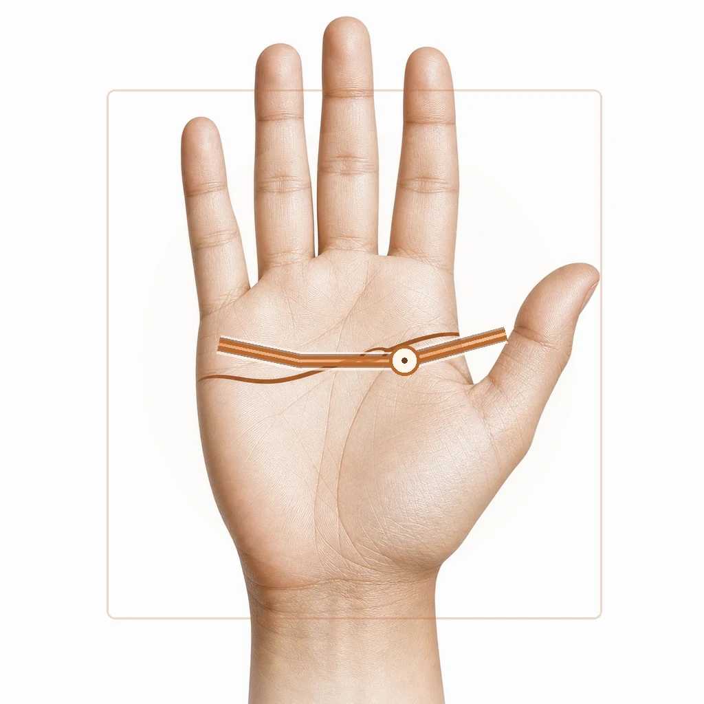 Seven hand silhouettes showing different shapes