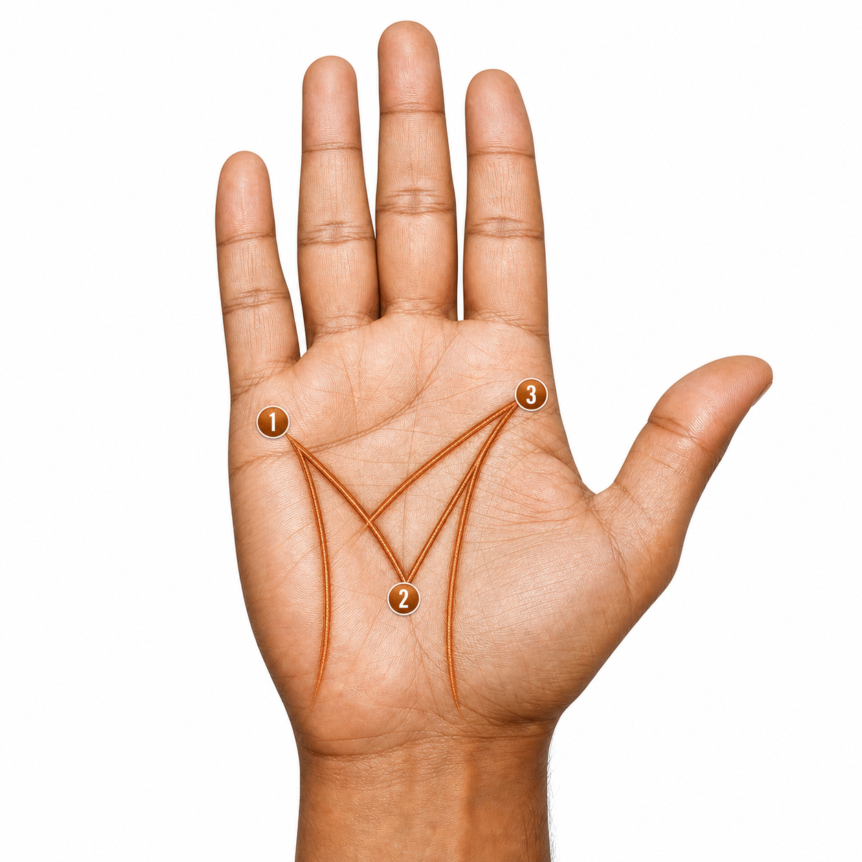 Annotated palm diagram showing the M sign across the major palm lines