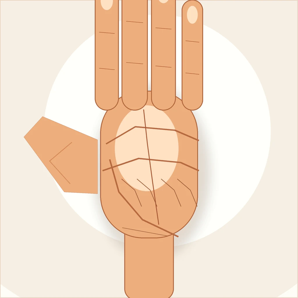Editorial illustration of elegant long-fingered hand shapes
