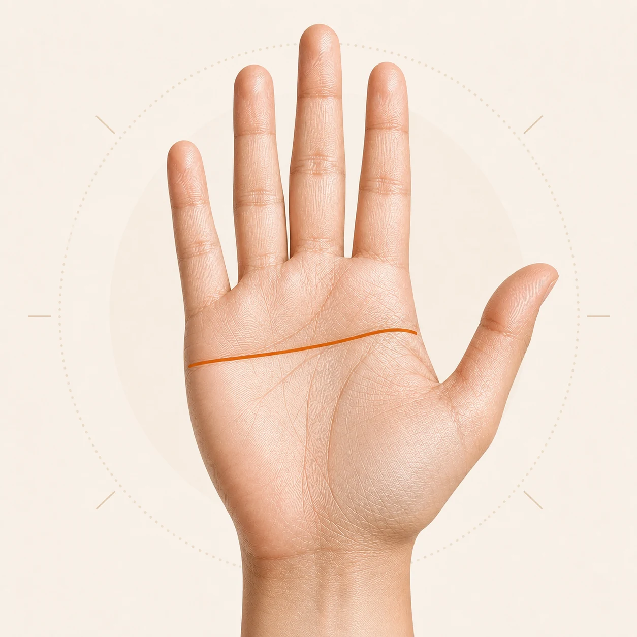 Palm diagram with a simian line highlighted