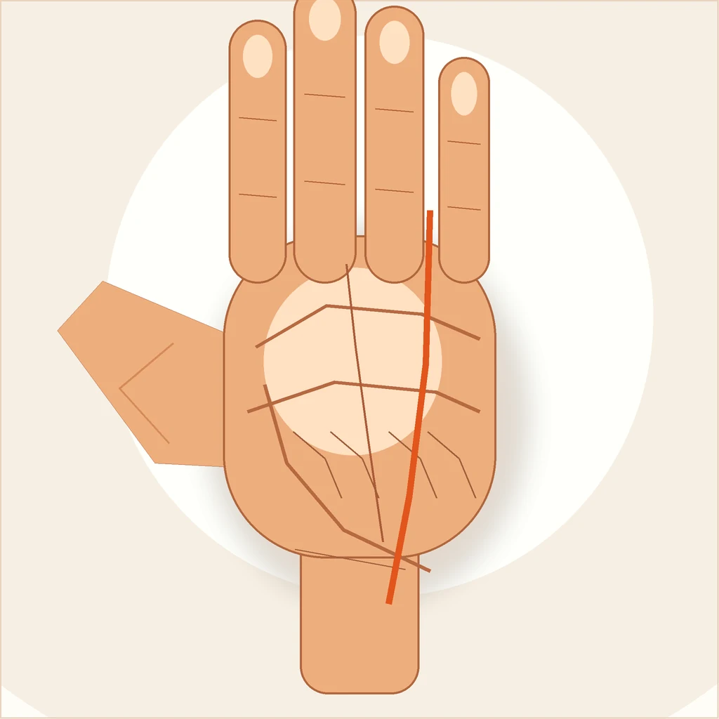 Editorial palm illustration with Sun line, fate line, and Mercury line highlighted